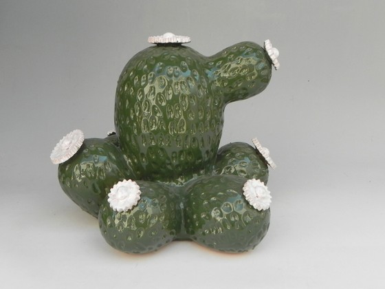 Cactus Boulder Av. Cactus Boulder Av.