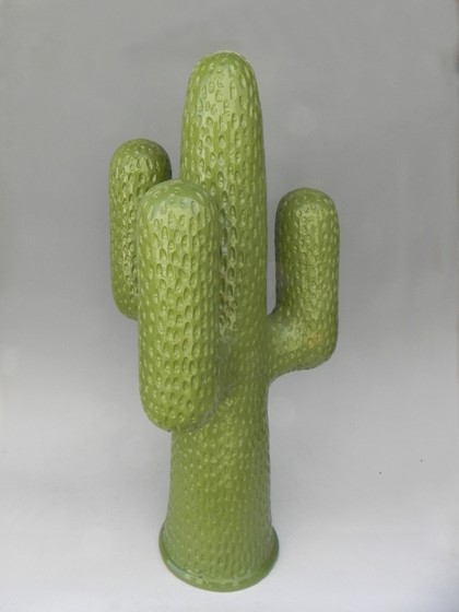 Catus Texas City Catus Texas City